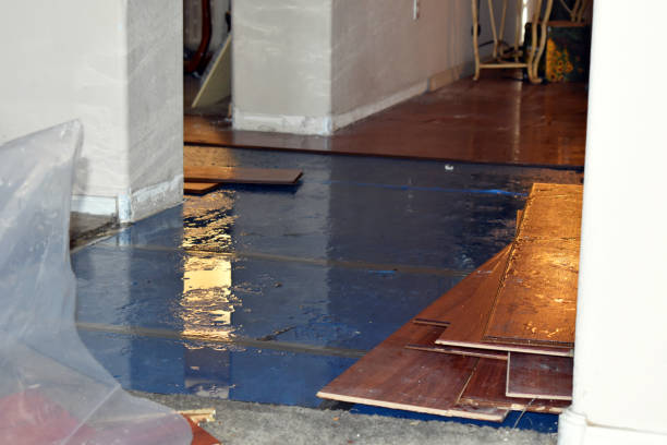 Professional Burst Pipe Cleanup technician working in Seminole, TX